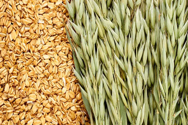 Oats