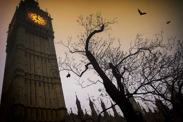 Copyright: PetarPaunchev/BigStock