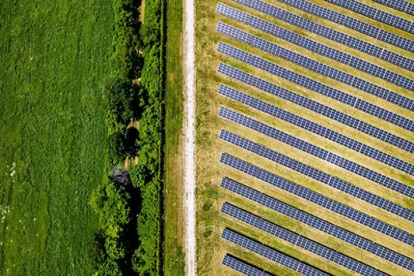 Price Signals are Needed in the Carbon Market