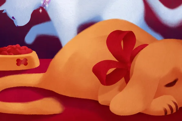 Illustration by Leonardo Santamaria