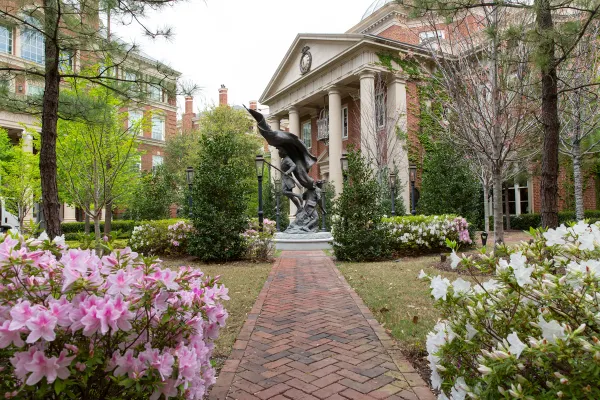 Photographs by Laura Buckman