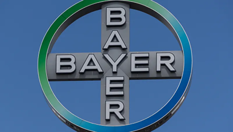 2016-07-20-da-bayer-large.jpg
