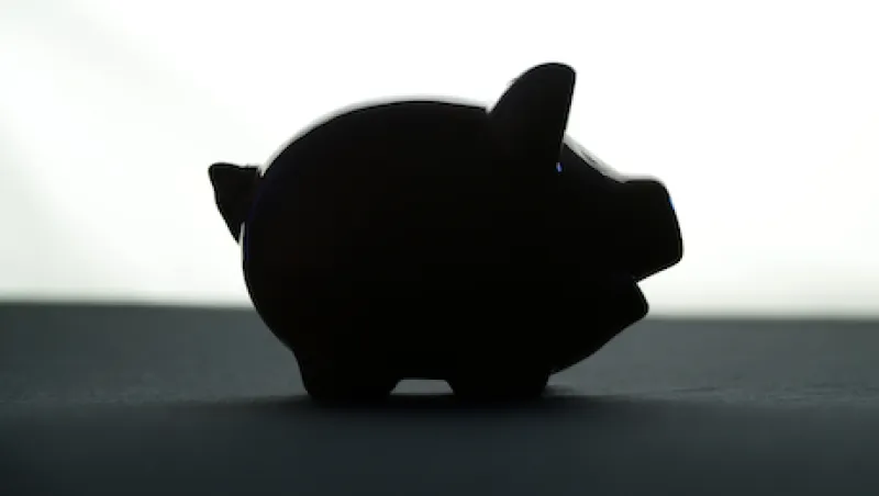 black-piggy-banks-large.jpg