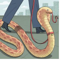 Credit Default Swaps